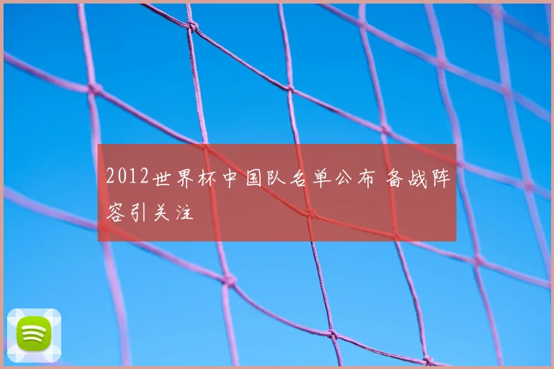2012世界杯中国队名单公布 备战阵容引关注