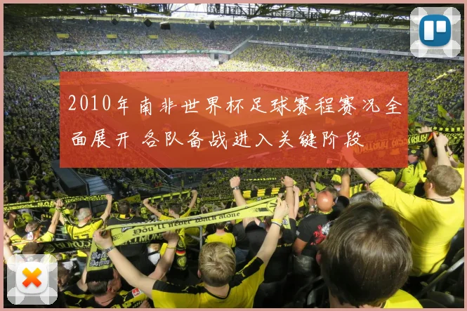 2010年南非世界杯足球赛程赛况全面展开 各队备战进入关键阶段